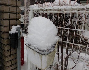 開催前に大雪10（2016.1.18）
