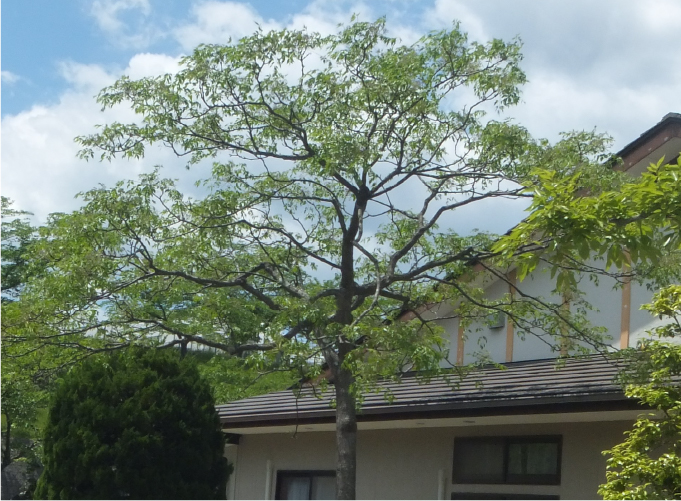 せんだんの里　施設紹介写真